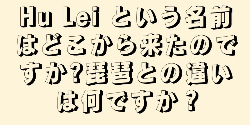 Hu Lei という名前はどこから来たのですか?琵琶との違いは何ですか？