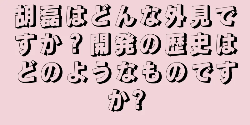 胡磊はどんな外見ですか？開発の歴史はどのようなものですか?