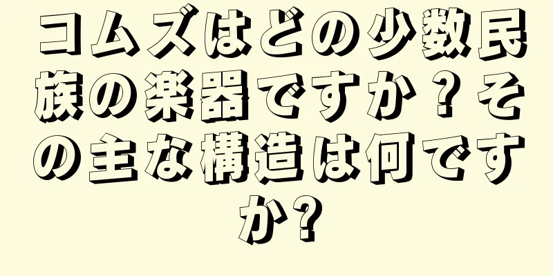 コムズはどの少数民族の楽器ですか？その主な構造は何ですか?