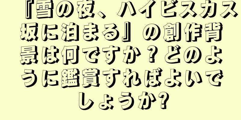 『雪の夜、ハイビスカス坂に泊まる』の創作背景は何ですか？どのように鑑賞すればよいでしょうか?