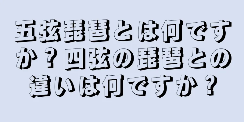 五弦琵琶とは何ですか？四弦の琵琶との違いは何ですか？