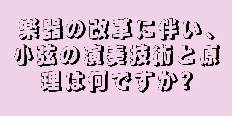 楽器の改革に伴い、小弦の演奏技術と原理は何ですか?