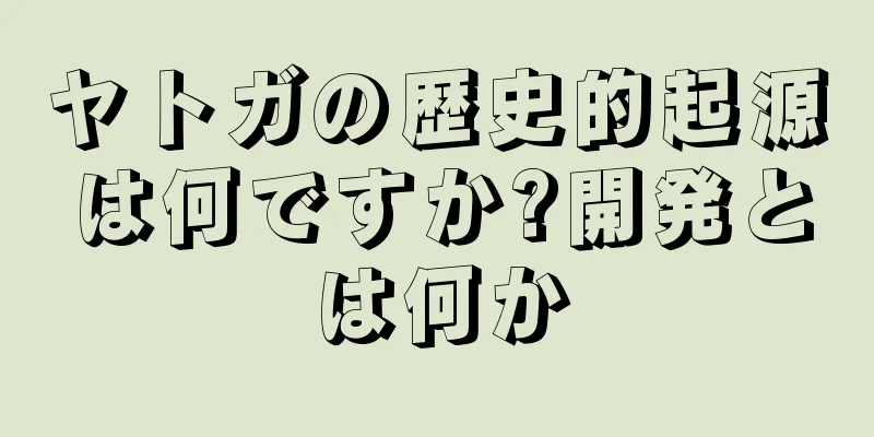 ヤトガの歴史的起源は何ですか?開発とは何か