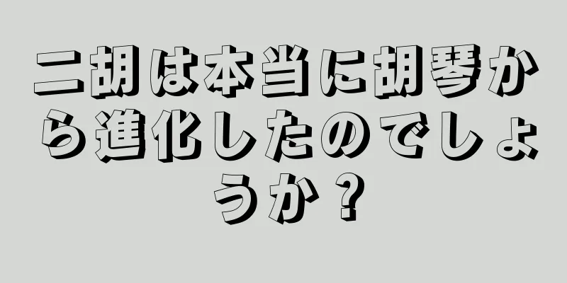 二胡は本当に胡琴から進化したのでしょうか？