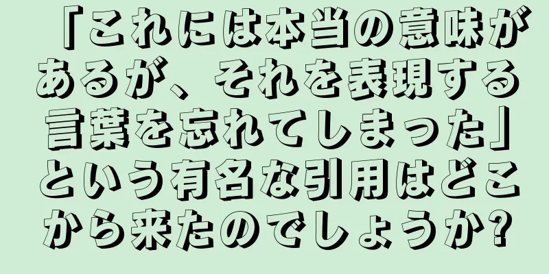 「これには本当の意味があるが、それを表現する言葉を忘れてしまった」という有名な引用はどこから来たのでしょうか?