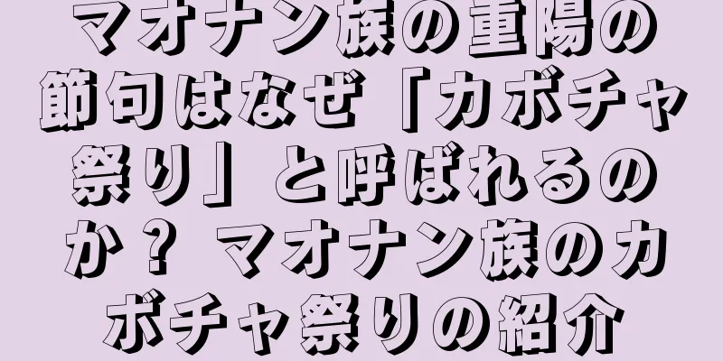 マオナン族の重陽の節句はなぜ「カボチャ祭り」と呼ばれるのか？ マオナン族のカボチャ祭りの紹介