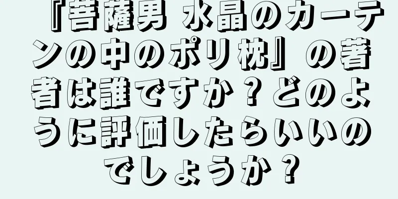『菩薩男 水晶のカーテンの中のポリ枕』の著者は誰ですか？どのように評価したらいいのでしょうか？