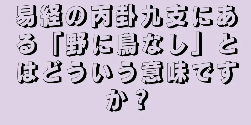 易経の丙卦九支にある「野に鳥なし」とはどういう意味ですか？
