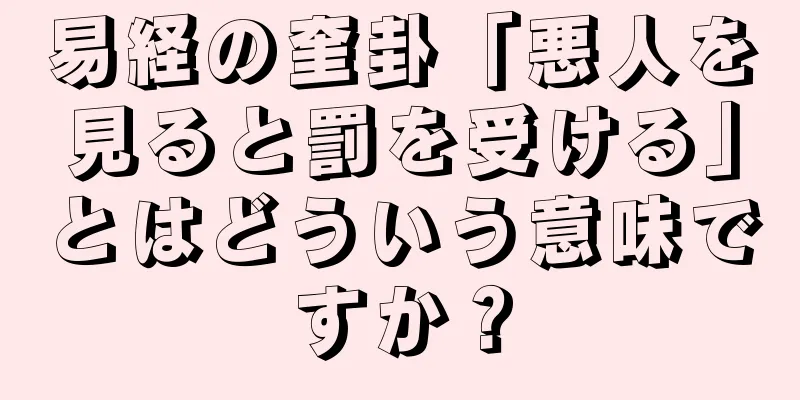 易経の奎卦「悪人を見ると罰を受ける」とはどういう意味ですか？