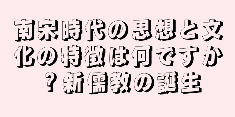 南宋時代の思想と文化の特徴は何ですか？新儒教の誕生