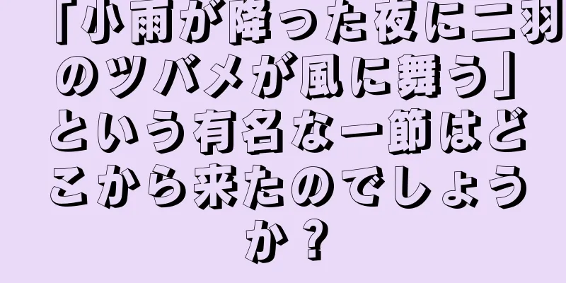 「小雨が降った夜に二羽のツバメが風に舞う」という有名な一節はどこから来たのでしょうか？