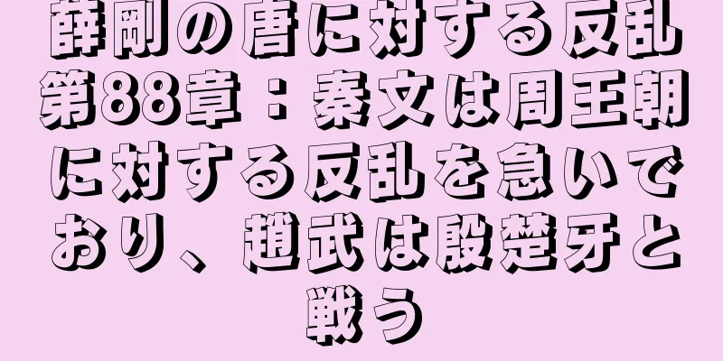 薛剛の唐に対する反乱第88章：秦文は周王朝に対する反乱を急いでおり、趙武は殷楚牙と戦う