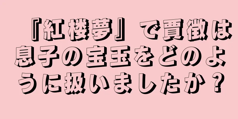 『紅楼夢』で賈徴は息子の宝玉をどのように扱いましたか？