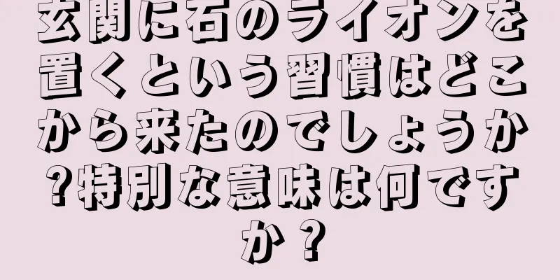 玄関に石のライオンを置くという習慣はどこから来たのでしょうか?特別な意味は何ですか？