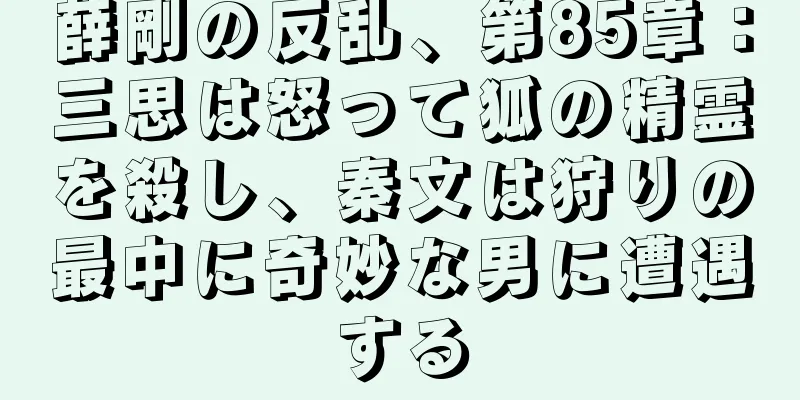 薛剛の反乱、第85章：三思は怒って狐の精霊を殺し、秦文は狩りの最中に奇妙な男に遭遇する