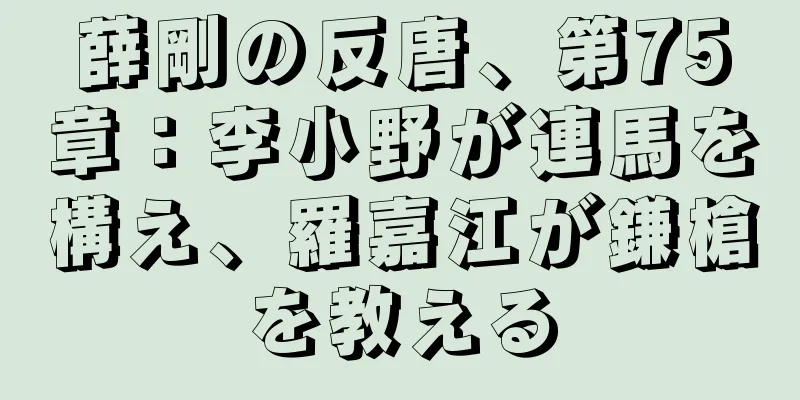 薛剛の反唐、第75章：李小野が連馬を構え、羅嘉江が鎌槍を教える