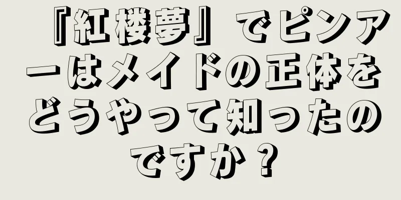 『紅楼夢』でピンアーはメイドの正体をどうやって知ったのですか？