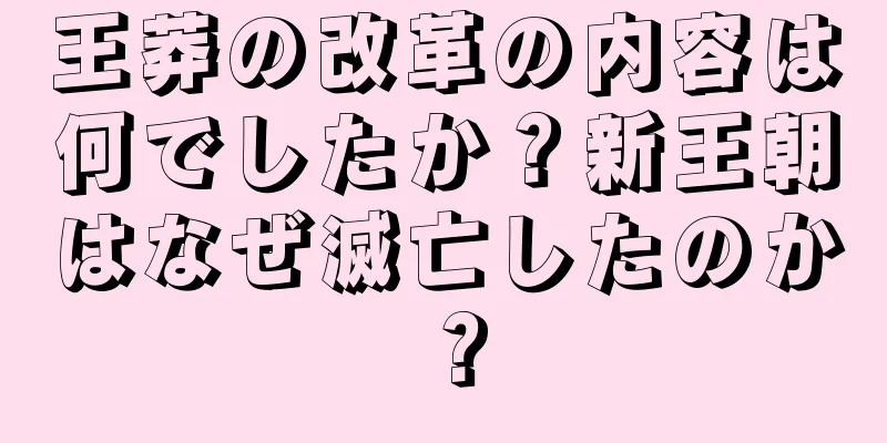 王莽の改革の内容は何でしたか？新王朝はなぜ滅亡したのか？