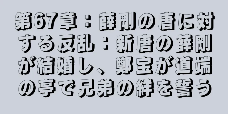 第67章：薛剛の唐に対する反乱：新唐の薛剛が結婚し、鄭宝が道端の亭で兄弟の絆を誓う