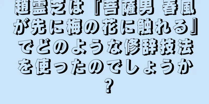 趙霊芝は『菩薩男 春風が先に梅の花に触れる』でどのような修辞技法を使ったのでしょうか？