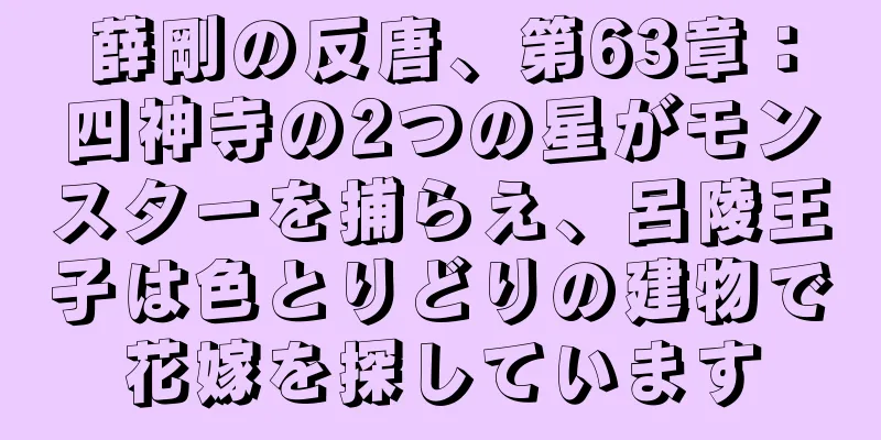 薛剛の反唐、第63章：四神寺の2つの星がモンスターを捕らえ、呂陵王子は色とりどりの建物で花嫁を探しています