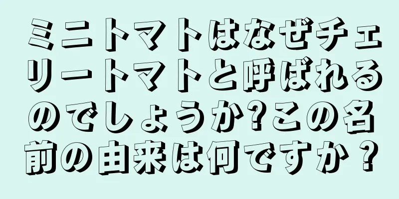 ミニトマトはなぜチェリートマトと呼ばれるのでしょうか?この名前の由来は何ですか？
