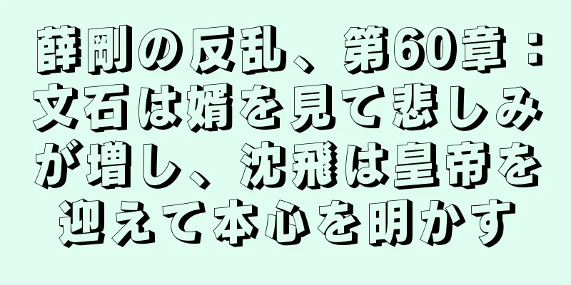 薛剛の反乱、第60章：文石は婿を見て悲しみが増し、沈飛は皇帝を迎えて本心を明かす
