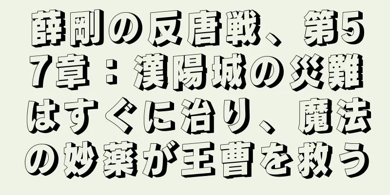 薛剛の反唐戦、第57章：漢陽城の災難はすぐに治り、魔法の妙薬が王曹を救う