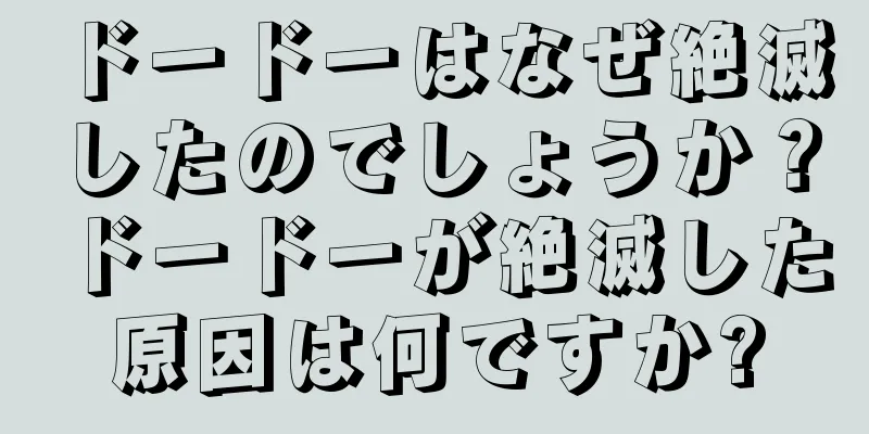 ドードーはなぜ絶滅したのでしょうか？ドードーが絶滅した原因は何ですか?