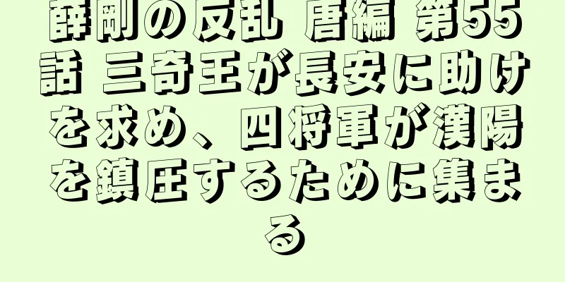 薛剛の反乱 唐編 第55話 三奇王が長安に助けを求め、四将軍が漢陽を鎮圧するために集まる
