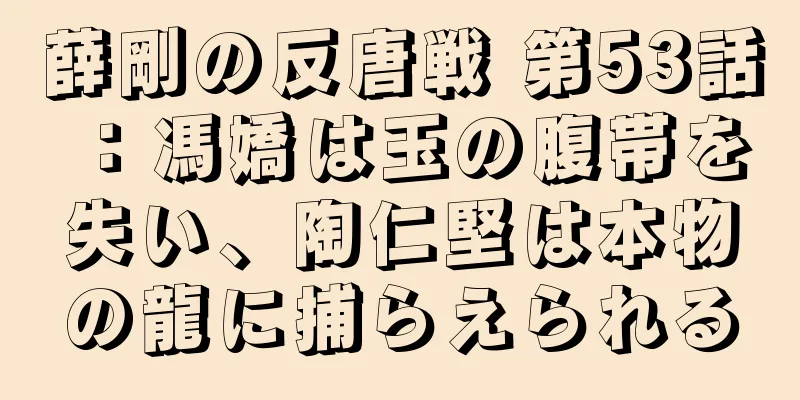 薛剛の反唐戦 第53話：馮嬌は玉の腹帯を失い、陶仁堅は本物の龍に捕らえられる