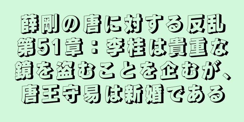 薛剛の唐に対する反乱第51章：李桂は貴重な鏡を盗むことを企むが、唐王守易は新婚である