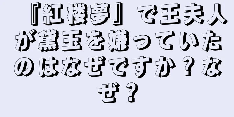 『紅楼夢』で王夫人が黛玉を嫌っていたのはなぜですか？なぜ？
