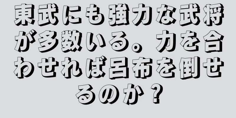 東武にも強力な武将が多数いる。力を合わせれば呂布を倒せるのか？