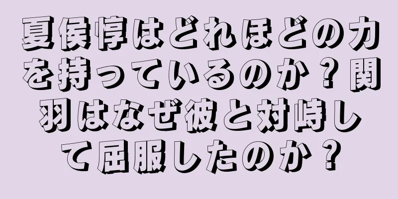 夏侯惇はどれほどの力を持っているのか？関羽はなぜ彼と対峙して屈服したのか？