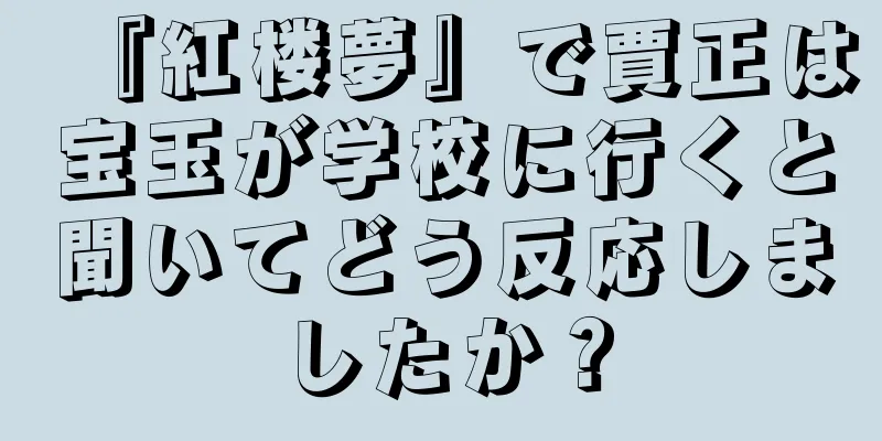 『紅楼夢』で賈正は宝玉が学校に行くと聞いてどう反応しましたか？