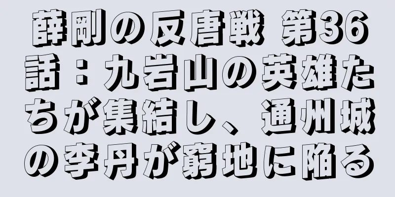 薛剛の反唐戦 第36話：九岩山の英雄たちが集結し、通州城の李丹が窮地に陥る