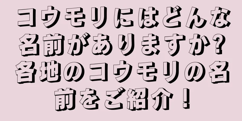 コウモリにはどんな名前がありますか?各地のコウモリの名前をご紹介！