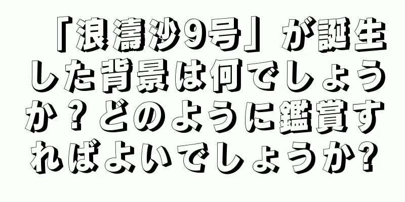 「浪濤沙9号」が誕生した背景は何でしょうか？どのように鑑賞すればよいでしょうか?