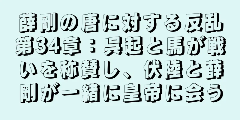 薛剛の唐に対する反乱第34章：呉起と馬が戦いを称賛し、伏陸と薛剛が一緒に皇帝に会う