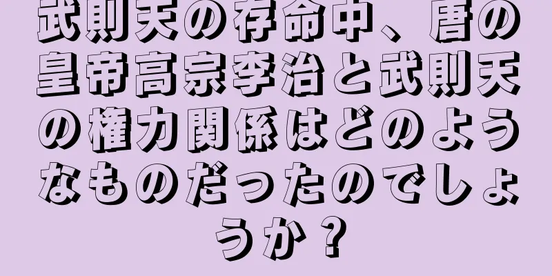 武則天の存命中、唐の皇帝高宗李治と武則天の権力関係はどのようなものだったのでしょうか？