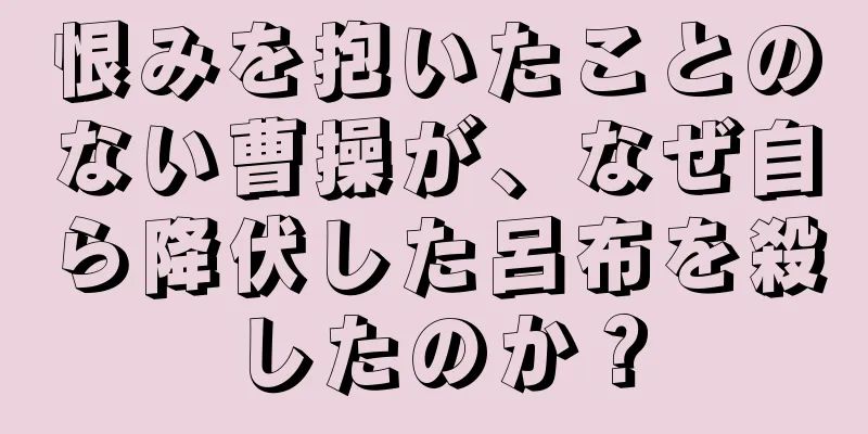 恨みを抱いたことのない曹操が、なぜ自ら降伏した呂布を殺したのか？