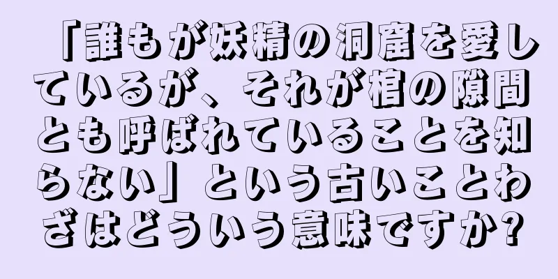 「誰もが妖精の洞窟を愛しているが、それが棺の隙間とも呼ばれていることを知らない」という古いことわざはどういう意味ですか?