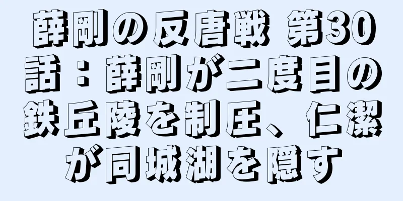 薛剛の反唐戦 第30話：薛剛が二度目の鉄丘陵を制圧、仁潔が同城湖を隠す