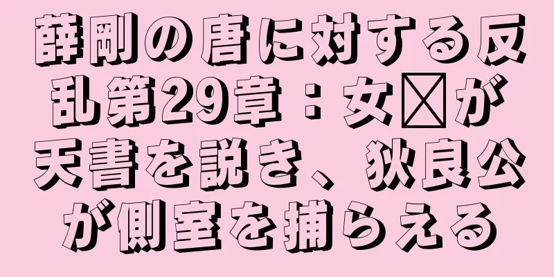 薛剛の唐に対する反乱第29章：女媧が天書を説き、狄良公が側室を捕らえる