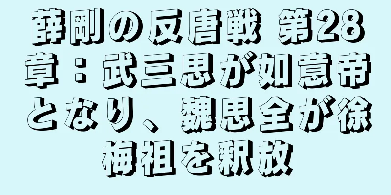 薛剛の反唐戦 第28章：武三思が如意帝となり、魏思全が徐梅祖を釈放