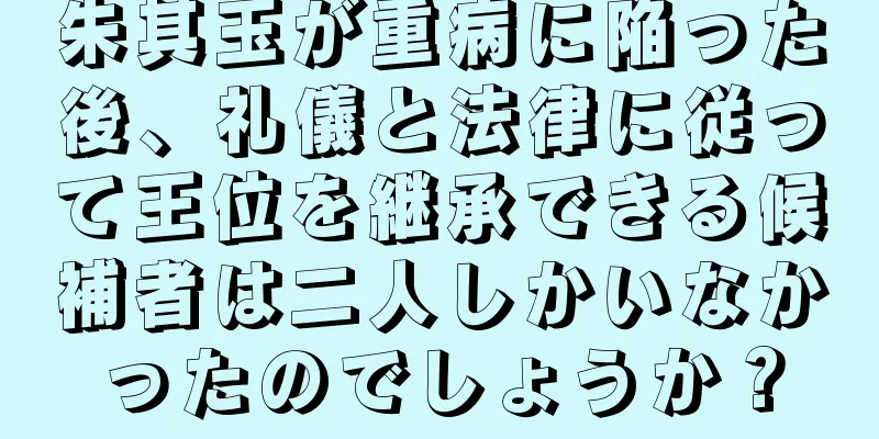 朱其玉が重病に陥った後、礼儀と法律に従って王位を継承できる候補者は二人しかいなかったのでしょうか？