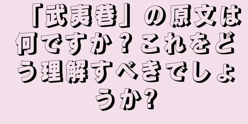 「武夷巷」の原文は何ですか？これをどう理解すべきでしょうか?