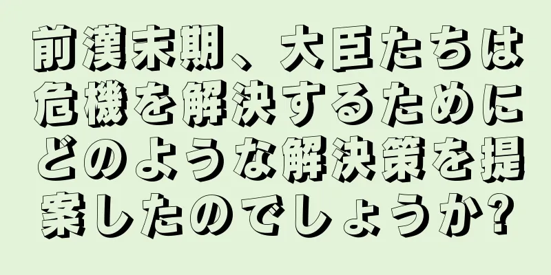前漢末期、大臣たちは危機を解決するためにどのような解決策を提案したのでしょうか?