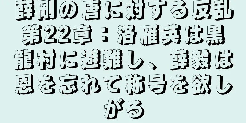 薛剛の唐に対する反乱第22章：洛雁英は黒龍村に避難し、薛毅は恩を忘れて称号を欲しがる